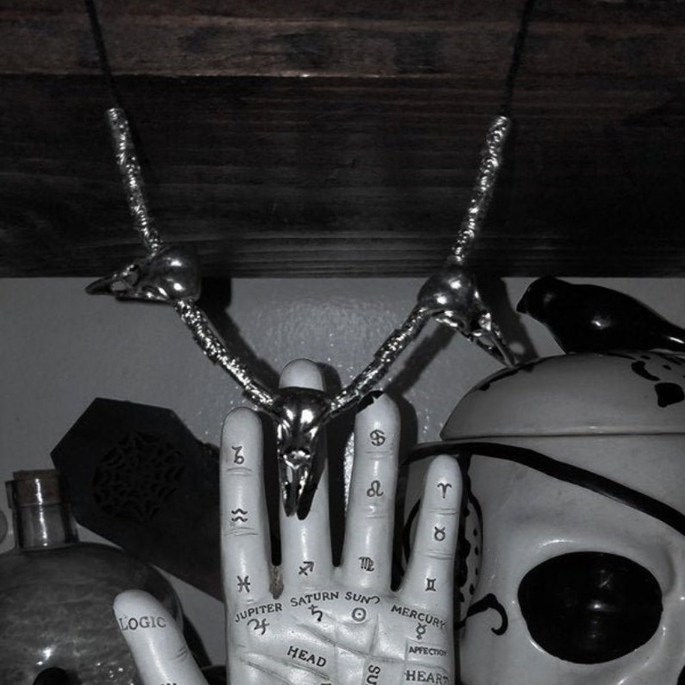 Gothic Raven Skull Unisex Necklace